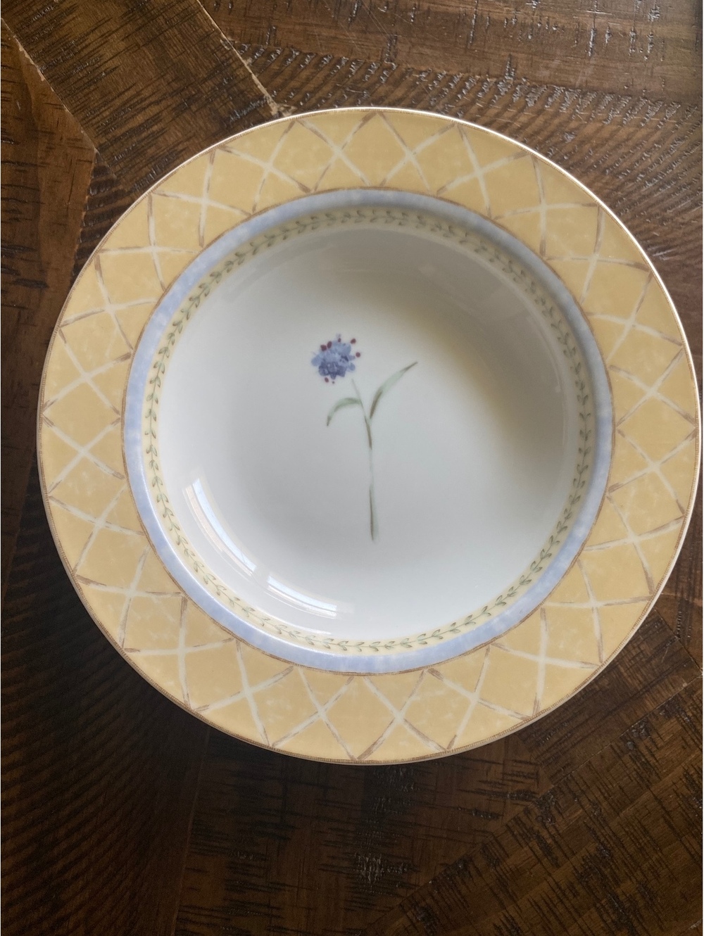 Enchanted Garden Heritage Mint Vintage Rimmed Coupe Soup Bowl China